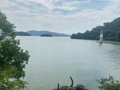 -逸廊大堂吧-下午茶·简餐-千岛湖自由洲际殿