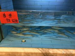 -龙宴海鲜城(经中路店)