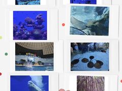 -泉城欧乐堡海洋极地世界