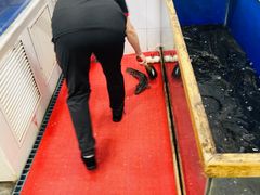 -活鱼馆(宜兴埠店)