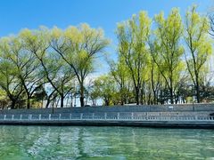 -皇家御河游(紫御湾码头)