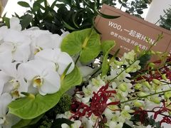 -混果汁(福田领展中心城店)