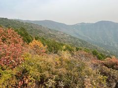-北京十三陵国家森林公园蟒山景区