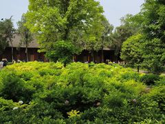 -洛阳白马寺