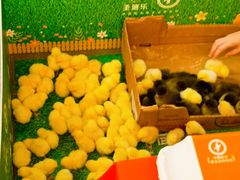 -Olé精品超市(上海虹桥南丰城店)