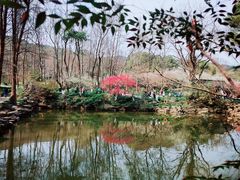-杭州植物园