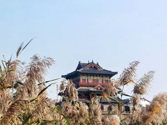 -百脉泉景区