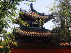 -武清南湖绿博园