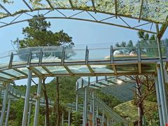 -牛鱼嘴原始生态风景区