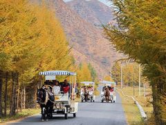 -苏木山森林公园