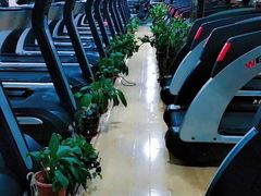 -A·曼健身(小西沟店)