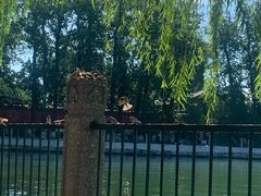 -北海公园-停车场