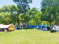 -上海吴淞炮台湾国家湿地公园