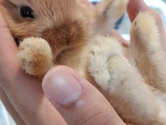 -怪兽屋·羊驼·猫咖·狗咖(俊华广场店)