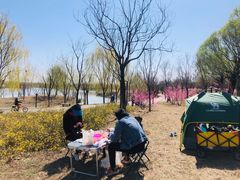 -东郊湿地公园