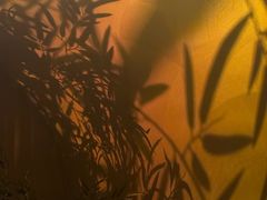 -宁采臣Sleep·采耳·SPA放松馆(湖里万达店)