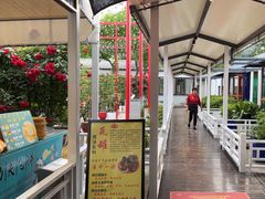 -大队长大灶鹅