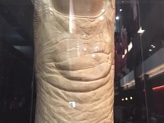 -证大大拇指广场(芳甸路店)