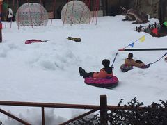 -梦幻奥陶纪景区