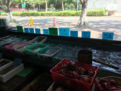 -莲花公园煎蟹(总店)