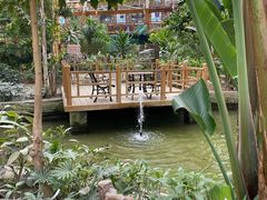 -南宫五洲植物乐园