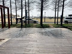 -春花秋色城市公园