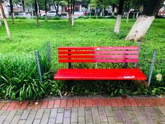 -沙市市中山公园