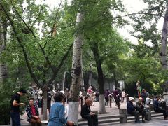 -莲湖公园