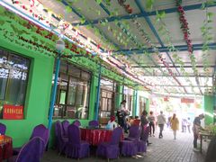 -马白开来特色羊排揪片子  (总店)