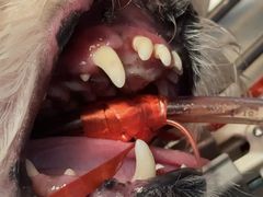 -狗舍宠物医院(四季商业广场店)