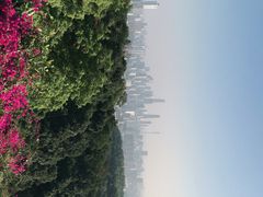 -广州市白云山风景名胜区