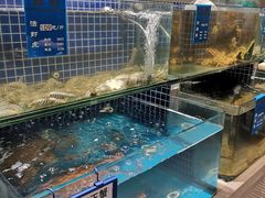 -味莊·青岛菜(云霄路店)