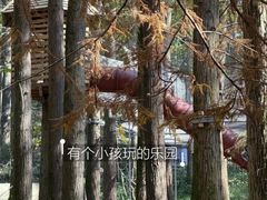 -波尔登森林公园