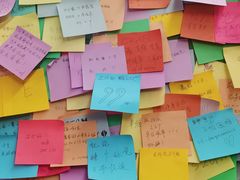 -隐象老挝咖啡手标泰奶