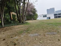 -雀儿山公园