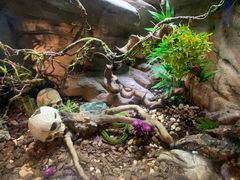 -成都浩海立方海洋公园