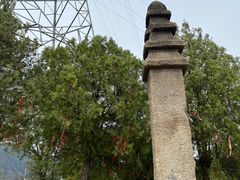 -白水寺森林公园