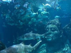 -暹罗海洋世界