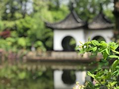-红梅公园