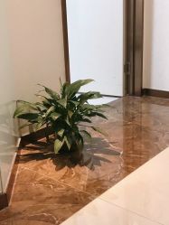 -丽美妍医疗美容·皮秒·立体分层抗衰