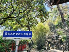 -灵岩山风景区