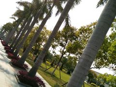 -厦门国家会计学院