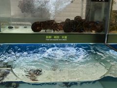 -永辉超市(泰州万达广场店)