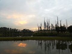 -白鹭湾湿地公园