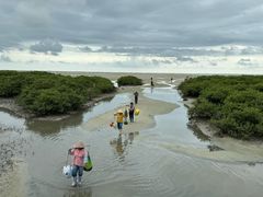 -北海金海湾红树林生态旅游区