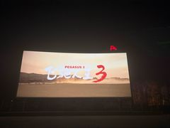 -枫花园汽车电影院(朝阳公园店)