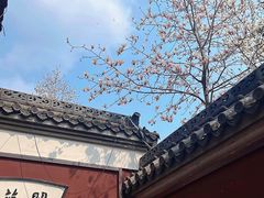 -长春观