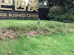 -西溪国家湿地公园