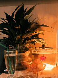 -An Ting岸汀·美容SPA