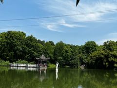 -青龙山国家森林公园